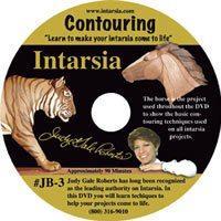 Intarsia Contouring DVD by Judy Gale Roberts