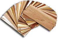 Wood Identification Kit