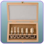 6 PC Straight Bit Set