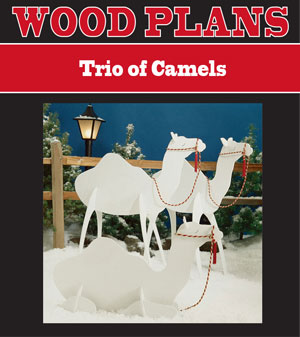 Trio of Camels 
Woodworking Plan
