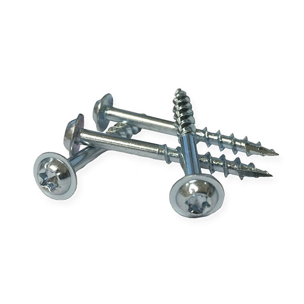 Screw Organizer