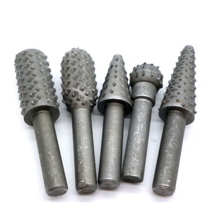 5 Piece Rasp Bit Set