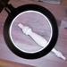 LED Magnifying Work Light w/Dual Power and Dual Mount