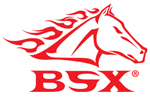 BSX